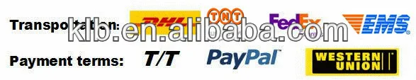 payment[1]