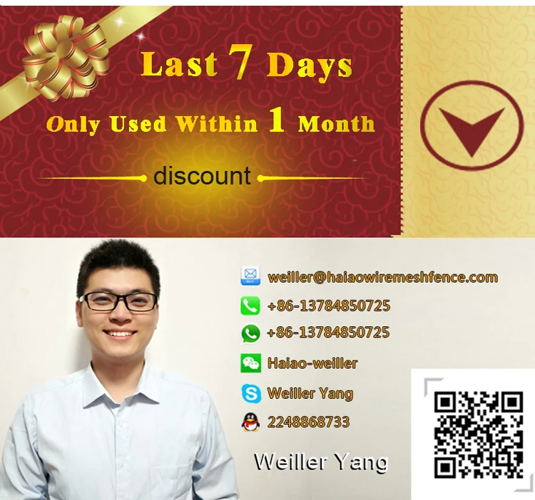 curve spear steel fence 12.jpg