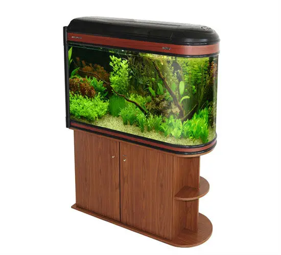 Curved Large Glass Aquarium Tank With Moden Design Buy Curved Glass