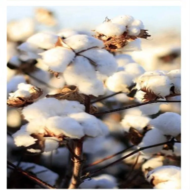 European Bedroom Pure Linen Bedding Hotel Bed Sheets Linen Bed Cover