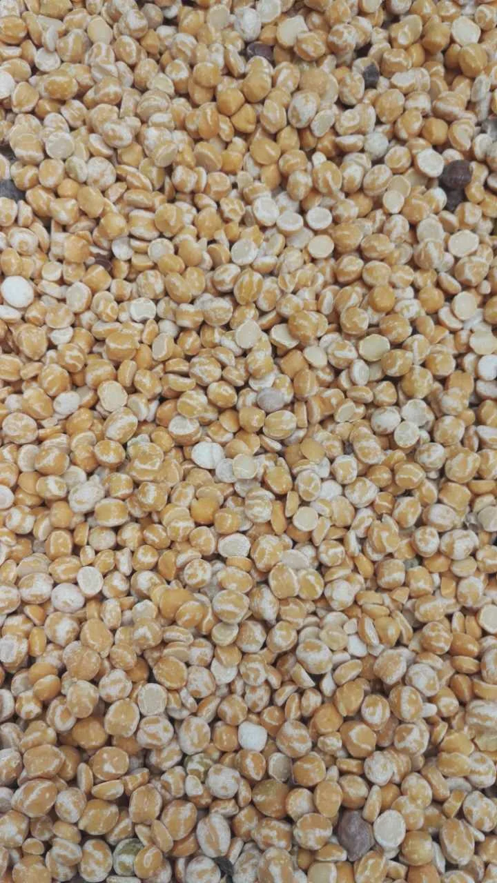 MTPS Lentil Peeling Machine Chickpeas Peeling Machine