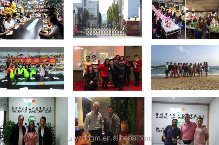 company information.png