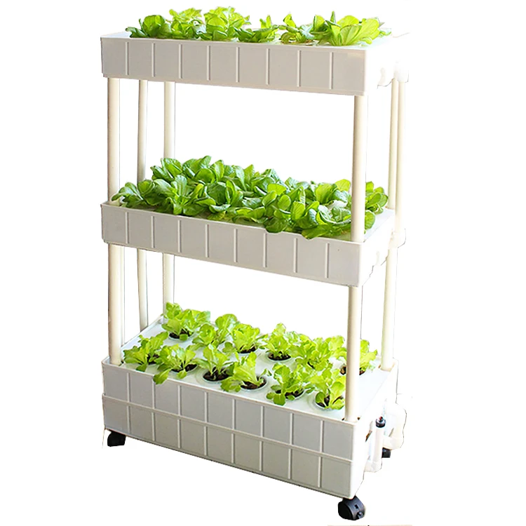 vertical hydroponics 6.jpg