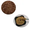 Ya ma zi Hot Sale Health Care Products natural flaxseed extract flax seed lignans extract powder