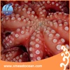 Factory wholesale seafood snack fresh octopus food for sale
