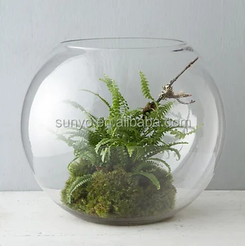 Hand Blown Akuarium Terarium Bulat Vas Kaca Bening Buy Akuarium