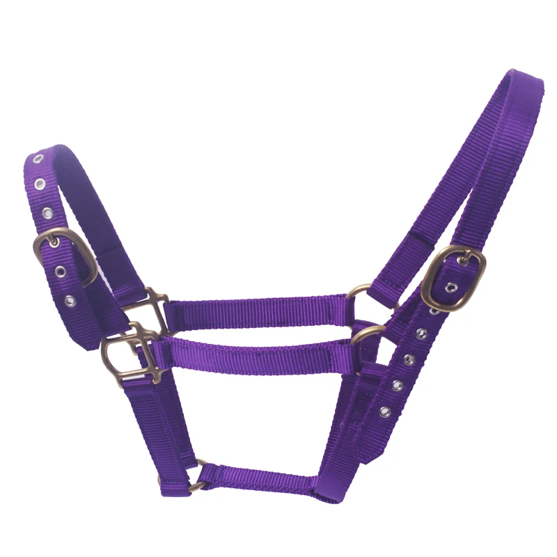 PVC halter for horse