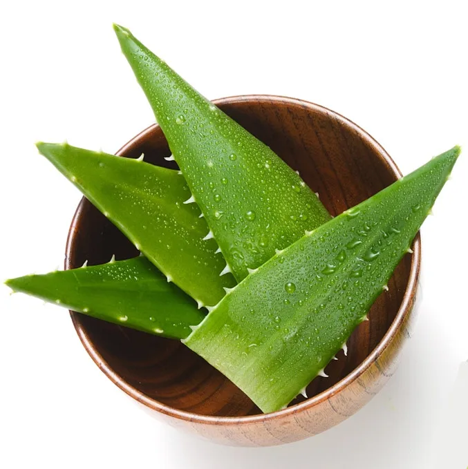 Natural Organic Aloe Vera Dry Extract Powder Aloe Ferox Mill