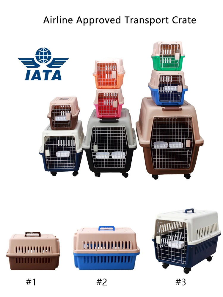 top load dog crate