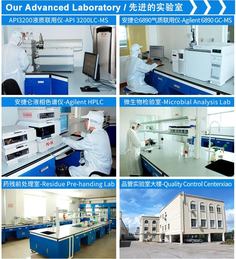 OEM -excellent quality Froze Roasted Eel from China