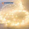 Evermore Fairy Copper Wire Mini Led String Lights