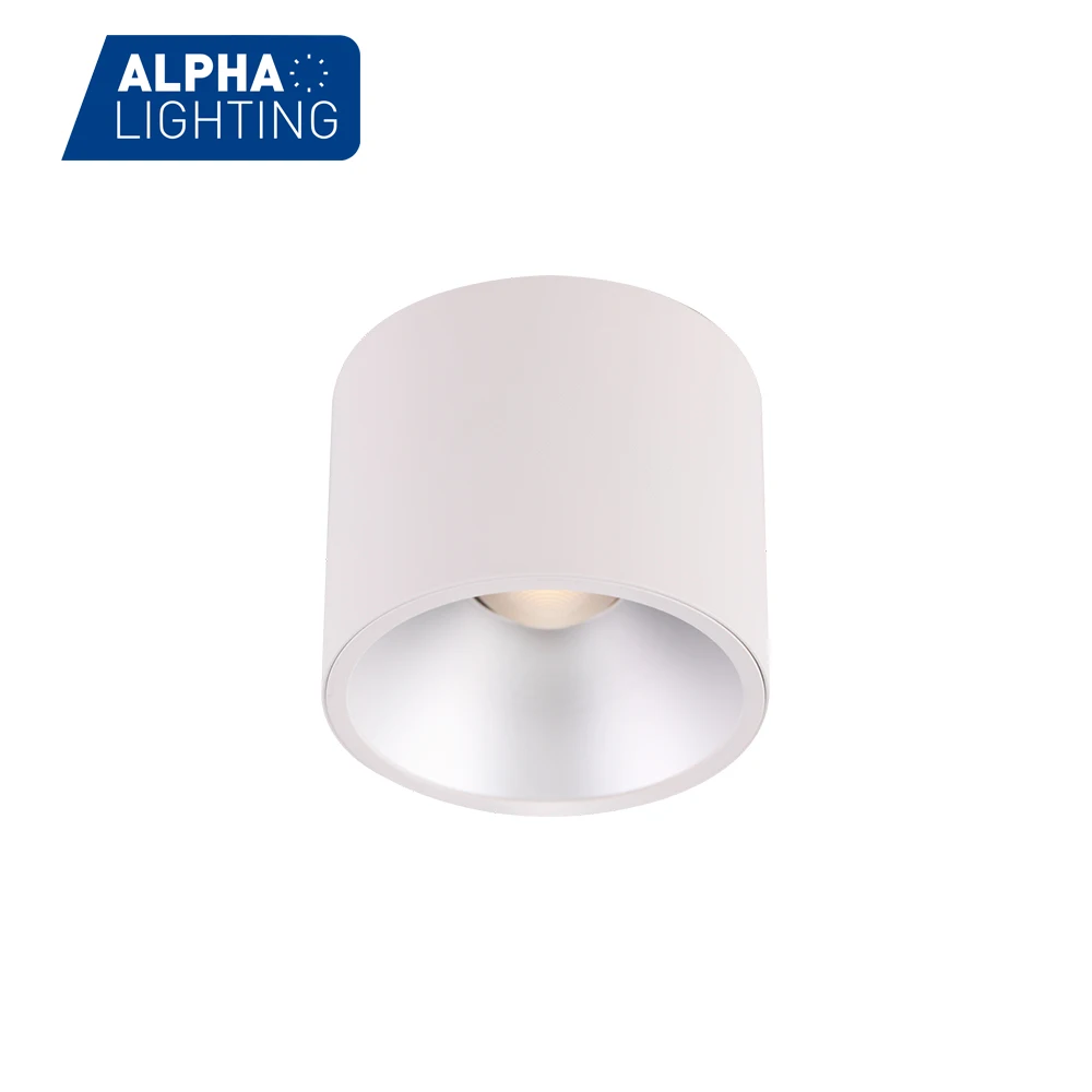 Residential Hotel IP20 Indoor High Lumen LED Ceiling Mounted Light