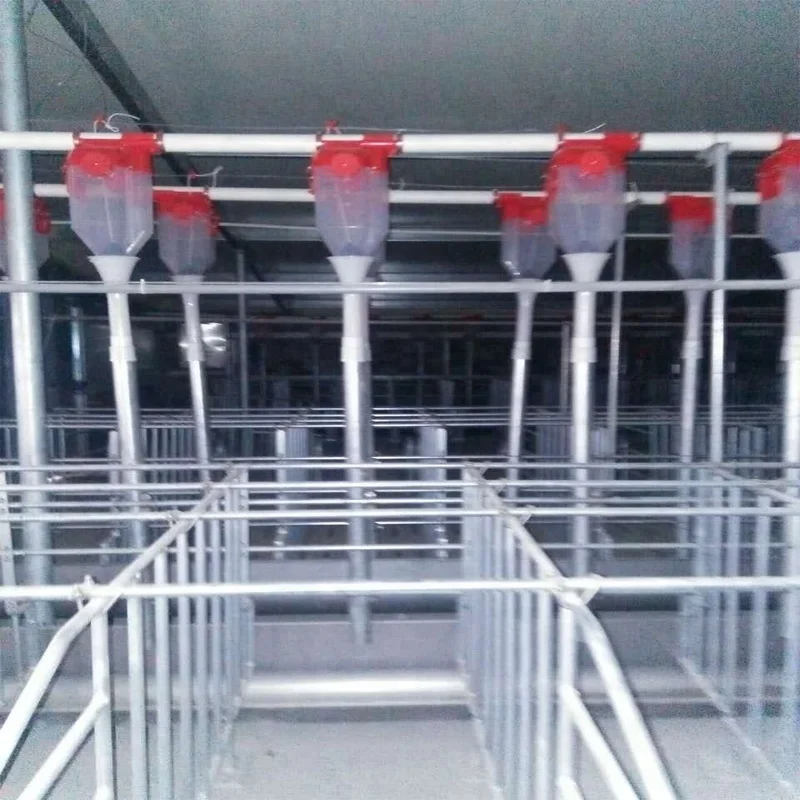 Pig Farm Project European Tubular Sow Stalls For Gestation Pig Buy European Tubular Sow Stalls European Tubular Sow Gestation Stalls Pig Gestation