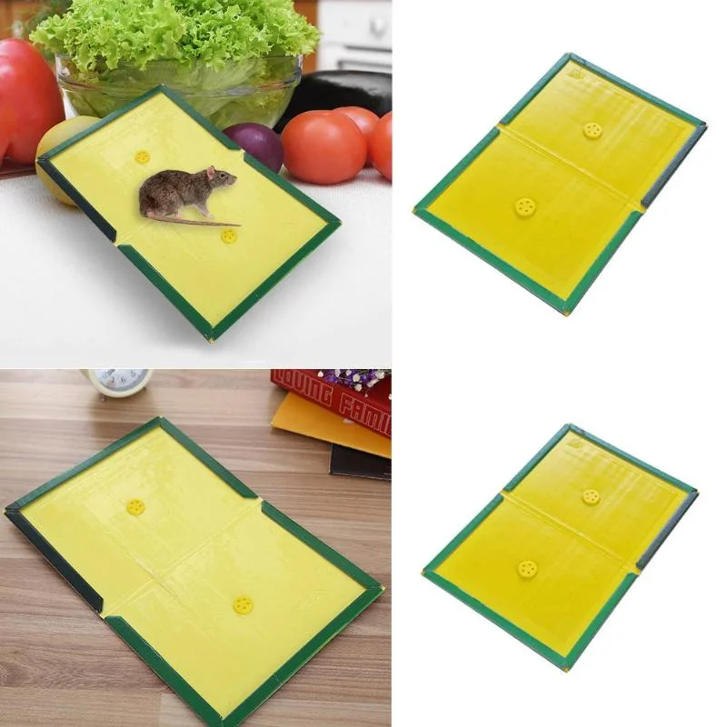Rat Glue Trap