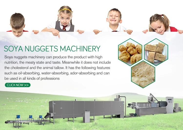 vegan meat production line