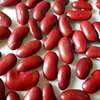 Dry red kidney beans specification china origin