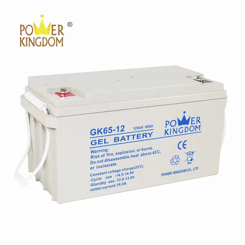 Power Kingdom New cheap 12v deep cycle battery supplier-2