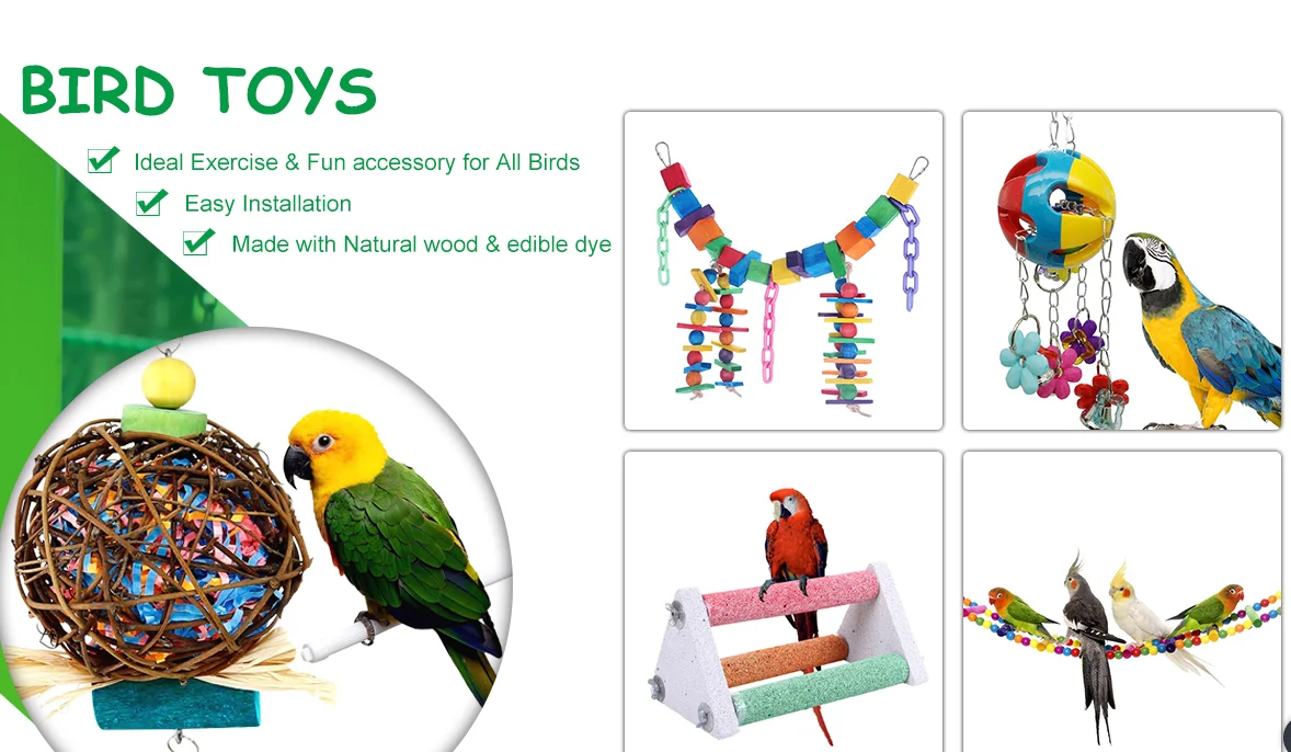 View of Bird Cage Perches - Budgie to Macaw Sizes - Perch Factory