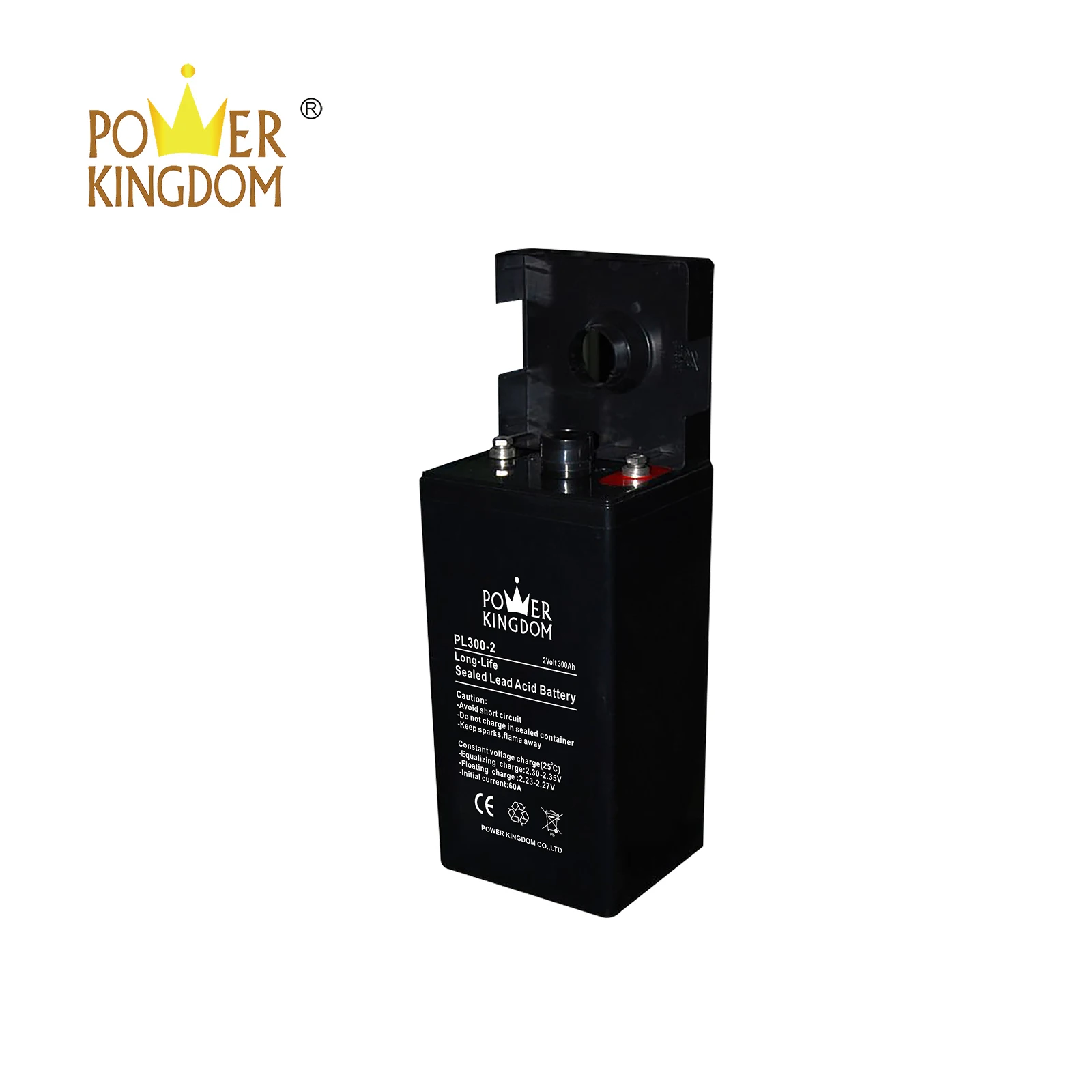 Power Kingdom h7 agm battery factory price electric toys-2
