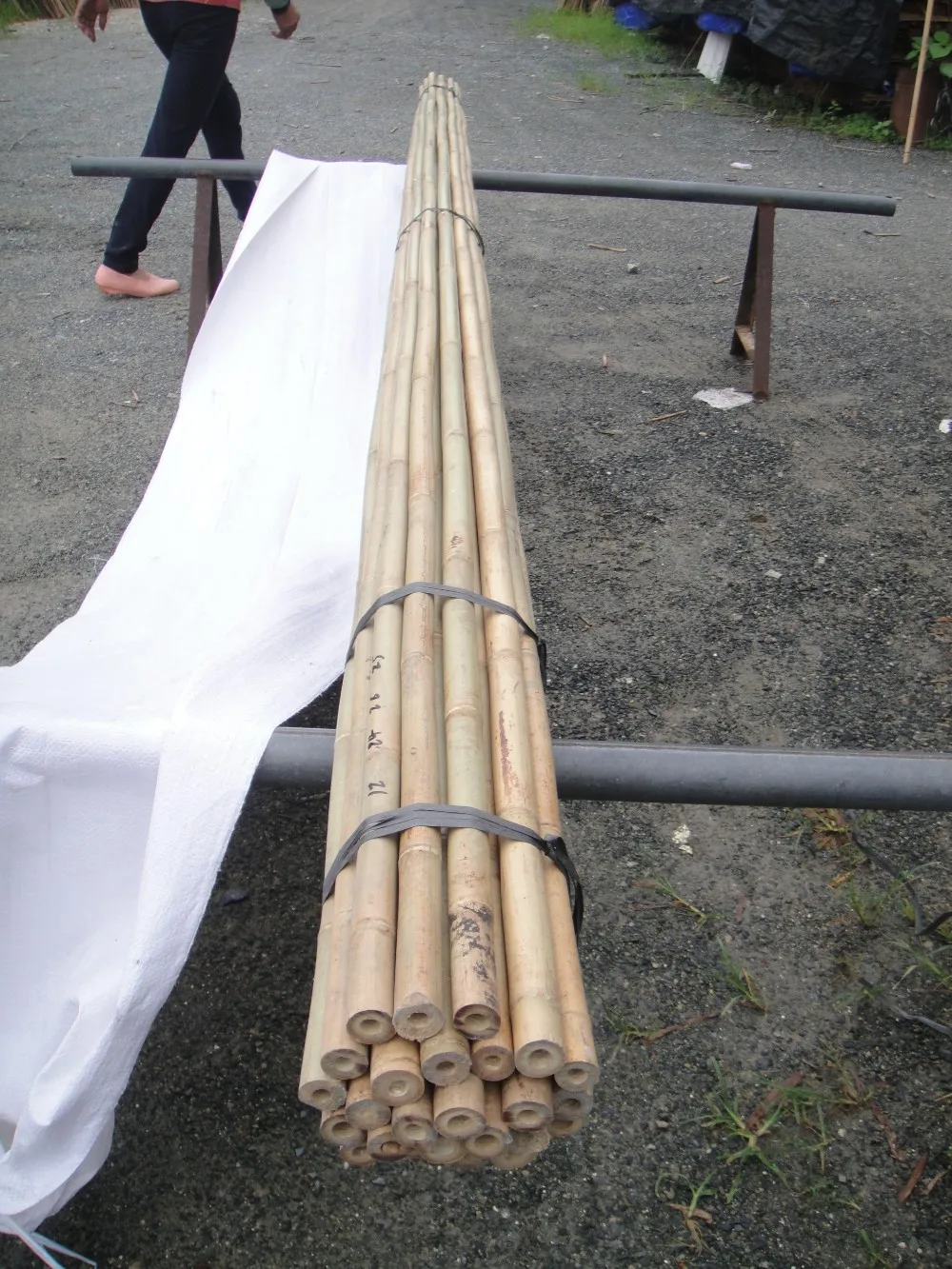 Bamboo Cane For Sale Buy Bamboo Cane Cheap,Wholesale Bamboo Cane