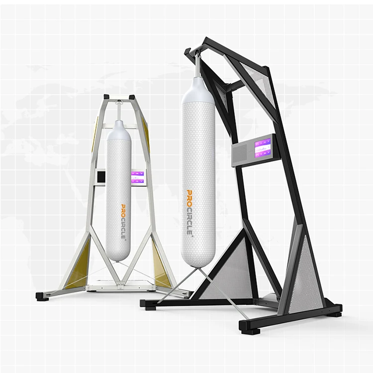 padipata interactive punching bag