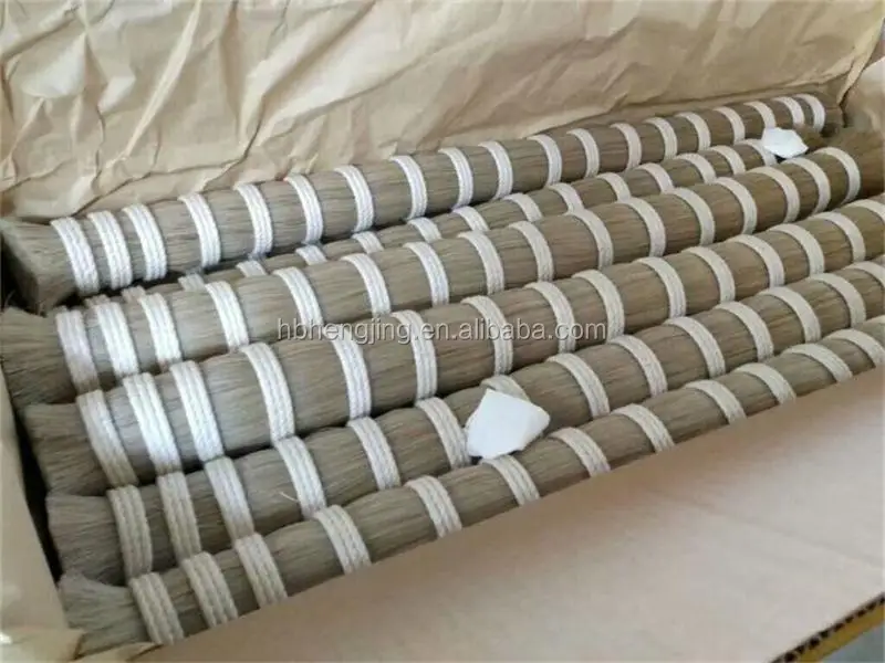 white horse tail hair 3.jpg