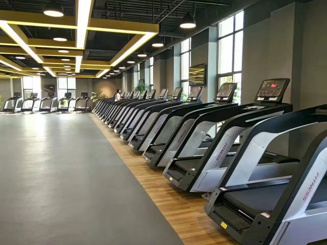 高品质的 tz-2050 爬楼梯登山者健身器材