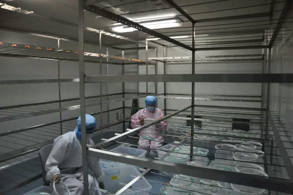 mmexport1445505453802