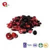 TTN China Sales Freeze dried Cherry Dices