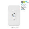 Smart Home Best Dual Port with USB 2000mA Wall Charger Adapter 16A US Standard Electrical Plug Socket Power Outlet Panel 90~250V