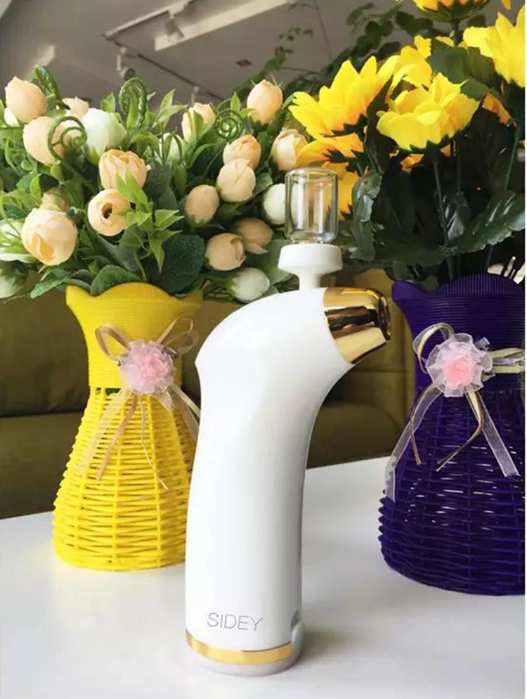 SIDEY Portable Handy Multi-function Moisturizer Nano Ionic Facial Mist Sprayer for Skin/Hair Care