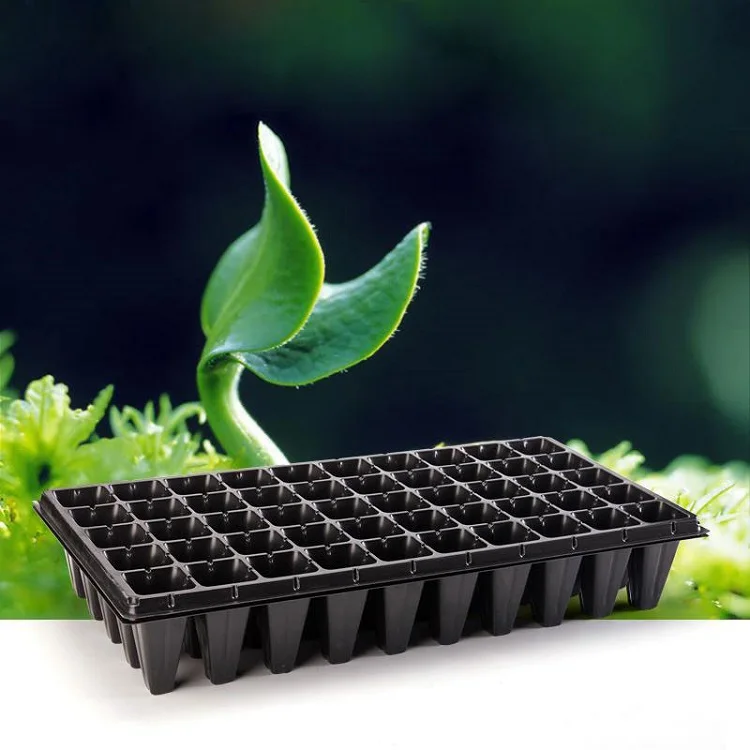 Skyplant 50 Cell Polystyrene Plastic Rice Seedling Tray, View Nursery