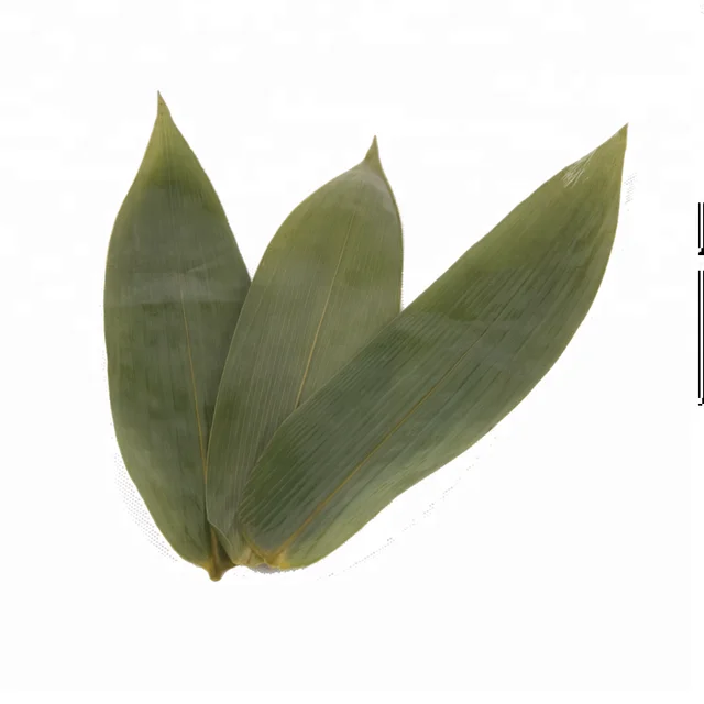 vacuum bamboo leaves