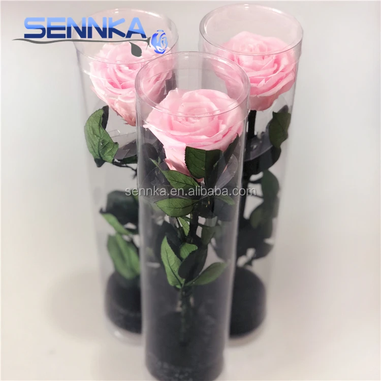 
Fresh Produce Mexico Long Stem Pink Flowers Real Touch Rose Flowers 