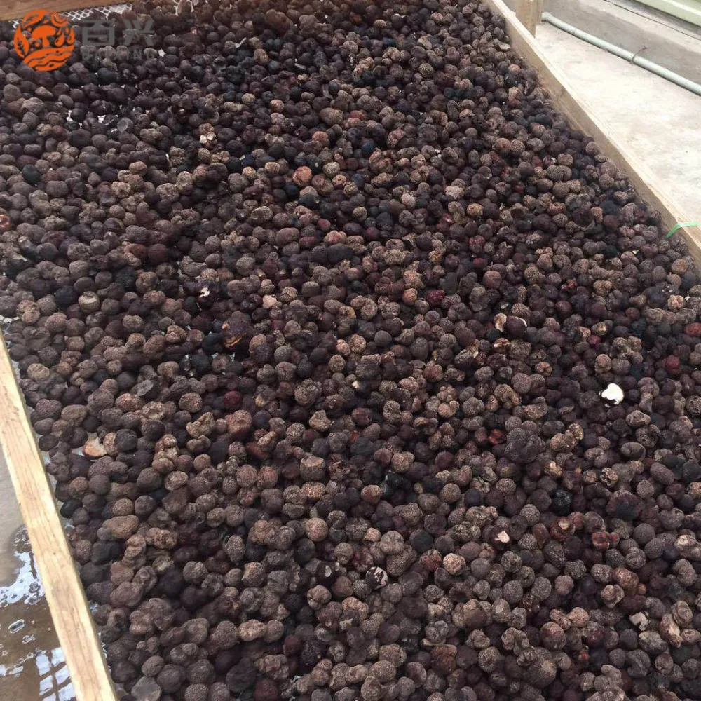 
Chinese best price frozen truffle (Tuber indicum) 