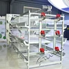 Automatic broiler equipment broiler rearing cage for growing broiler