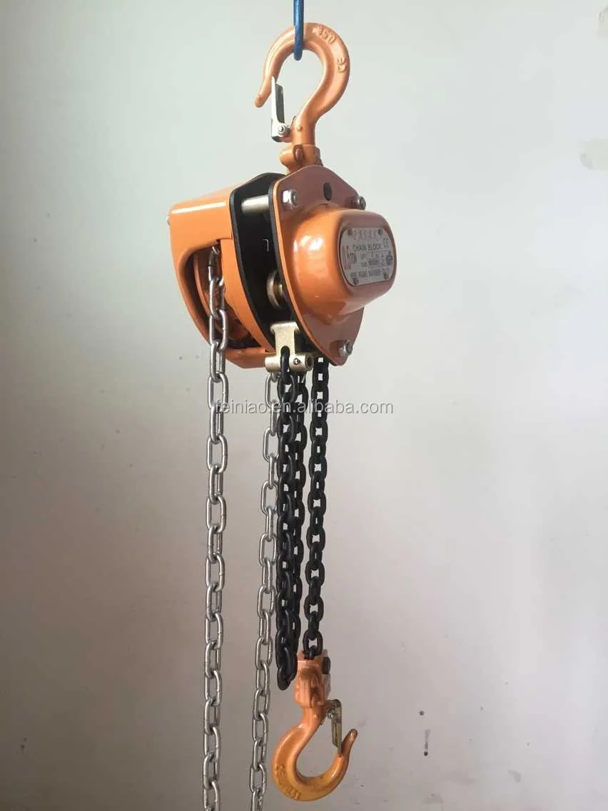 Hot Selling 5 Ton Pskc Series Hand Chain Block/small Construction