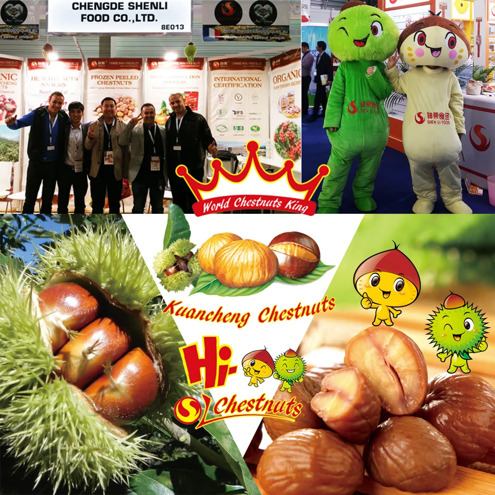 Shenli Food in Exhibition Fair-3.jpg