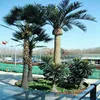 artificial coconut tree high quality all 6 meters fiberglass artificial palm trees outdoor use for beach decor