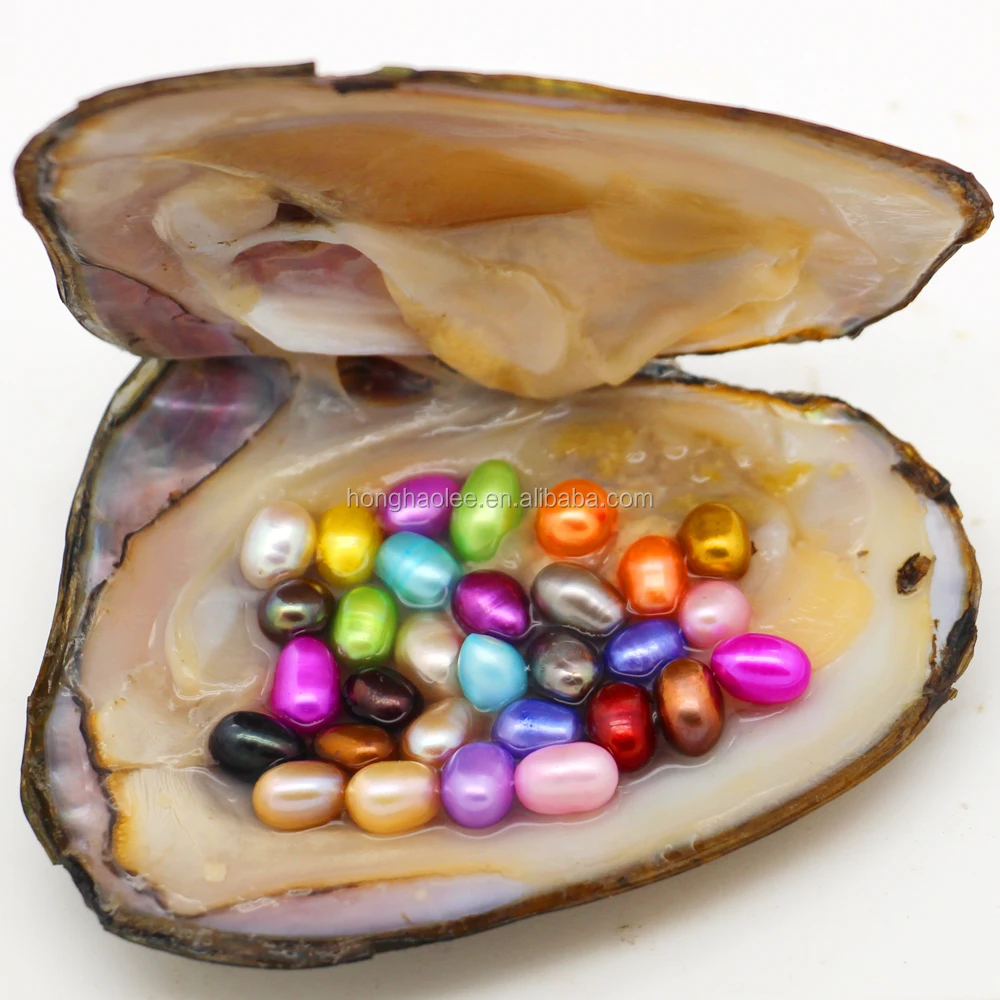 

Oval Oyster Pearl 2023 New 6-8mm 30 Mixed Color Freshwater Natural Pearl Gift, Loose Decorative Vacuum Package Free Shipping