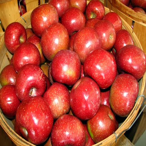 South Africa high quality wholesale royal gala fresh apple