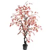 Made in China factory wholesale maple tree bonsai home garden decor bonsai tree