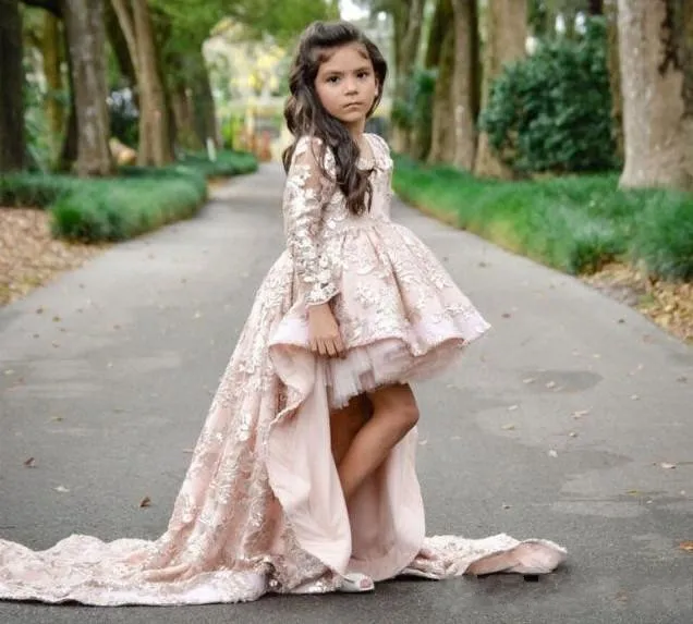 

ZH1323Q Pink High Low V Neck Long Sleeve Flower Girl Dresses Lace Applique Ruffles Kids Pageant Gowns A Line Prom Party Dress, Customer made