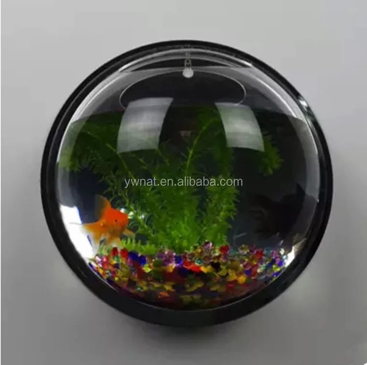 Acrylic Wall Hanging Fish Bowl Buy Decorative Fish Bowls,Acrylic Wall