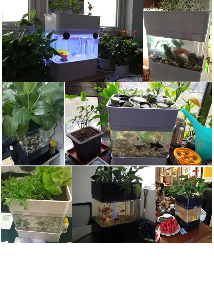Plant new arrivals acrylic fish farming tank  Water Garden Fish Bowl Aquarium Tank  aquarium hydroponics hot best seller