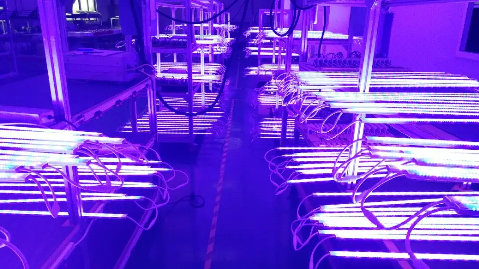 vertical led grow lights