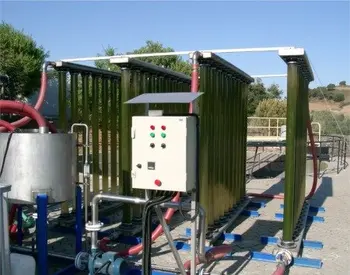 Biofuel Algae Fuel