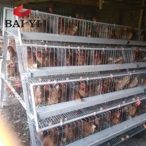 Poultry Farm In Ghana Chicken Cages For Sale