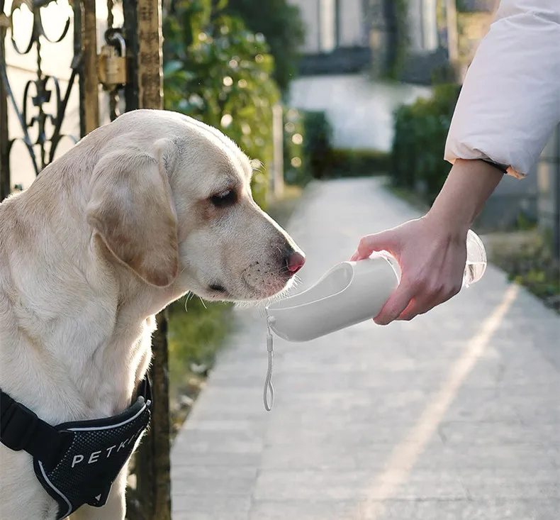 Petkit新しいbpaフリー認定のポータブルペット犬用ウォーターボトル Buy 犬の水ボトル 携帯用犬の水ボトル 携帯用ペットの犬の水ボトル Product On Alibaba Com