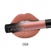 

Hot Sale Cosmetic Waterproof Lip Gloss Private Label Long Lasting Matte Lipgloss with Hight Quality